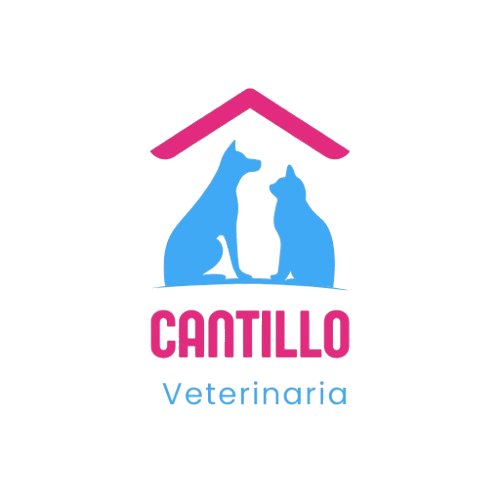 Veterinaria en Córdoba